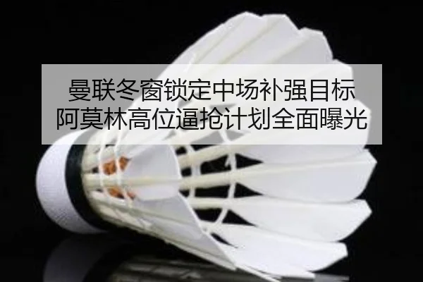 曼联冬窗锁定中场补强目标 阿莫林高位逼抢计划全面曝光